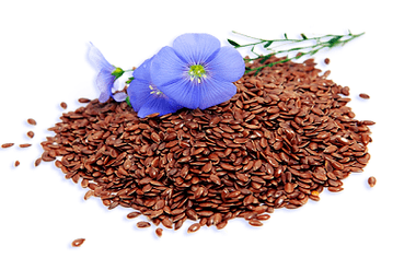 linseed for parasites