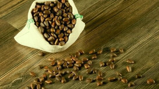 Parasite cedar nuts